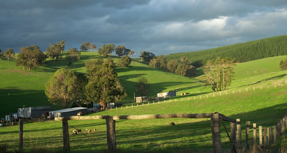 Photo of Others in Nannup