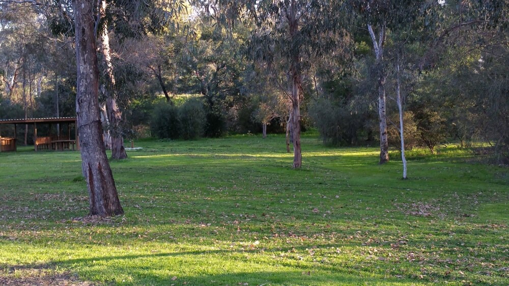 Photo of Outdoor in Yea