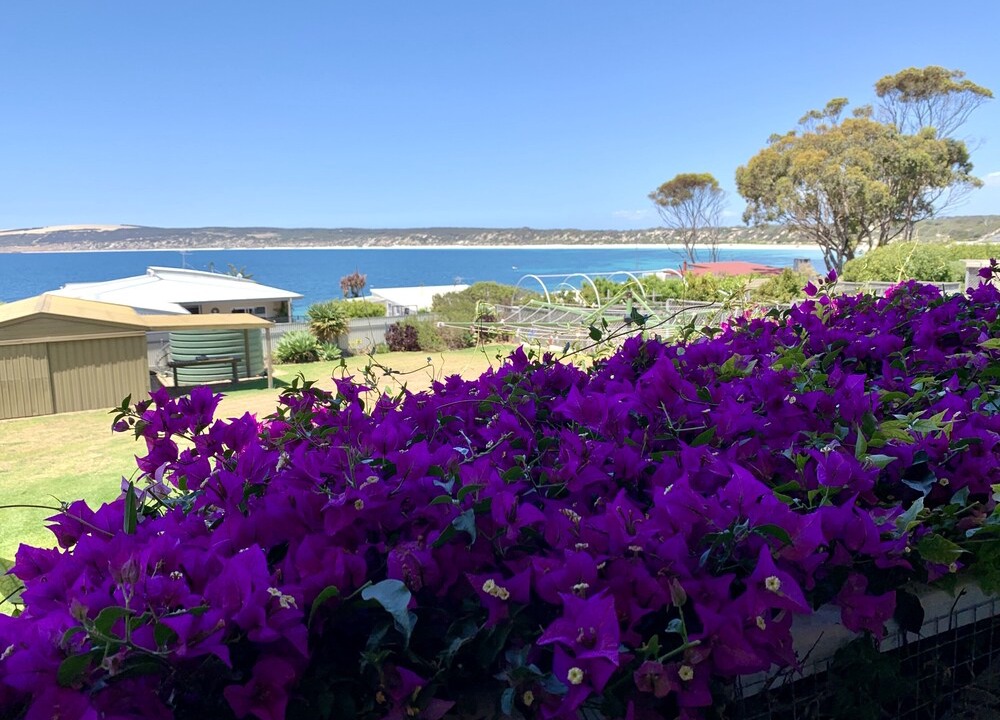 Photo of Outdoor in Emu Bay
