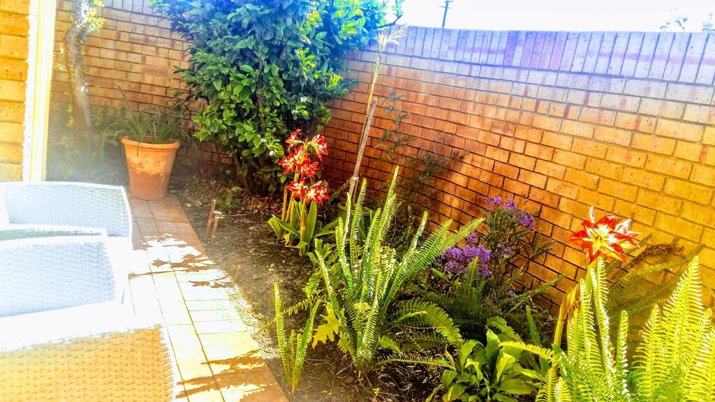 Photo of Others in Dianella