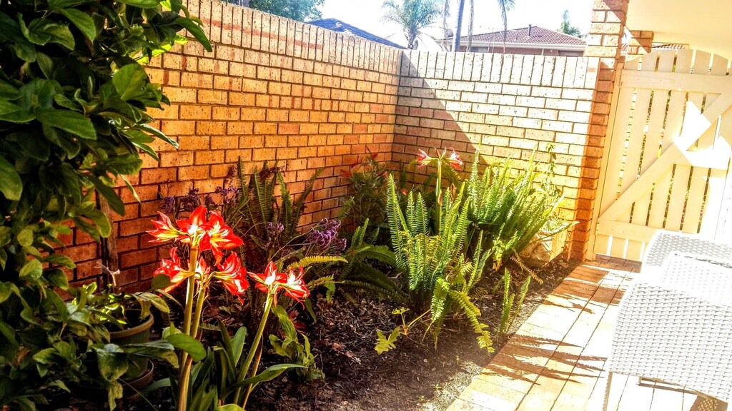 Photo of Others in Dianella