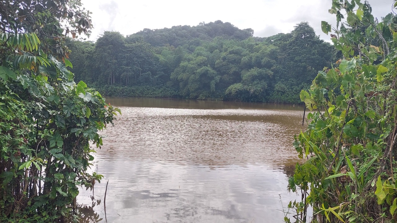 Photo of Outdoor in Remire Montjoly