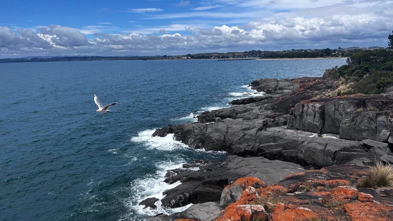 Photo of Others in East Devonport