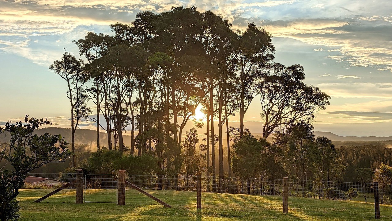 Photo of Others in Coomba Park