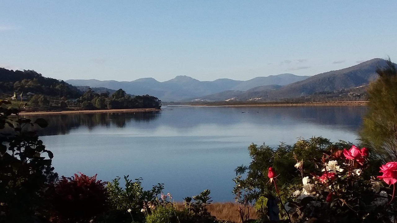Photo of Others in Castle Forbes Bay