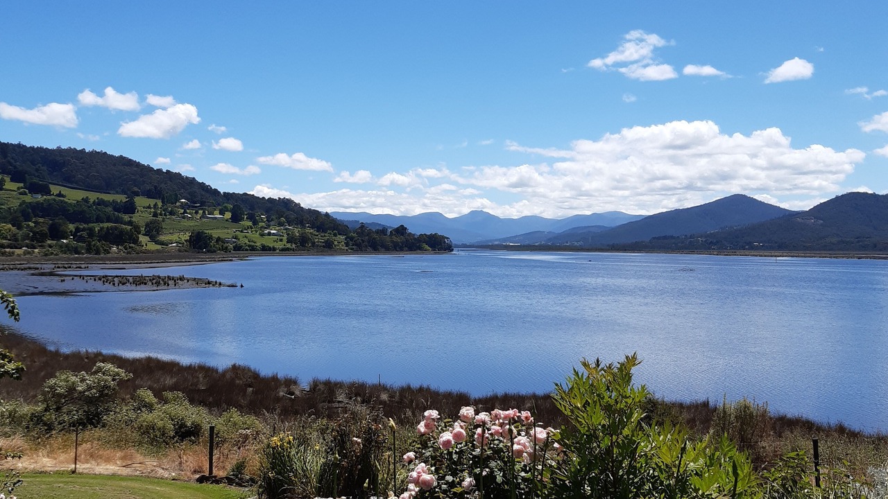 Photo of Outdoor in Castle Forbes Bay