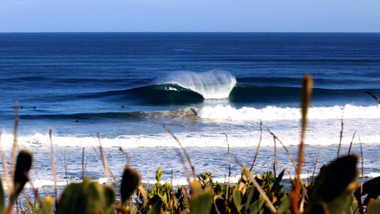 Photo of Others in Barwon Heads