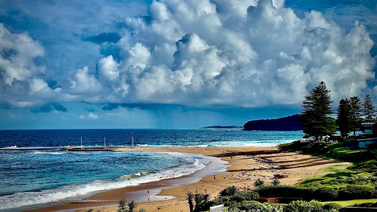 Photo of Others in Mona Vale