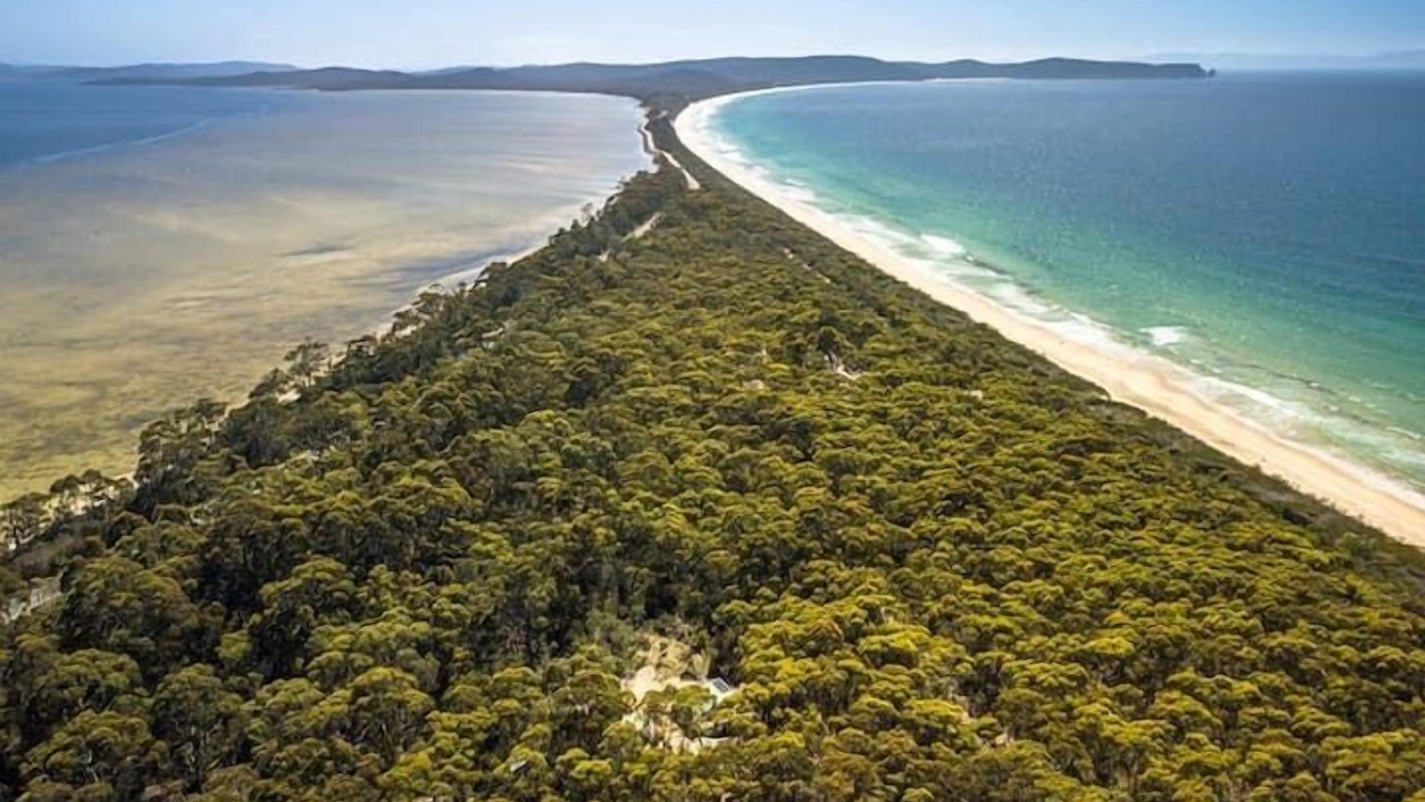 Photo of Others in South Bruny