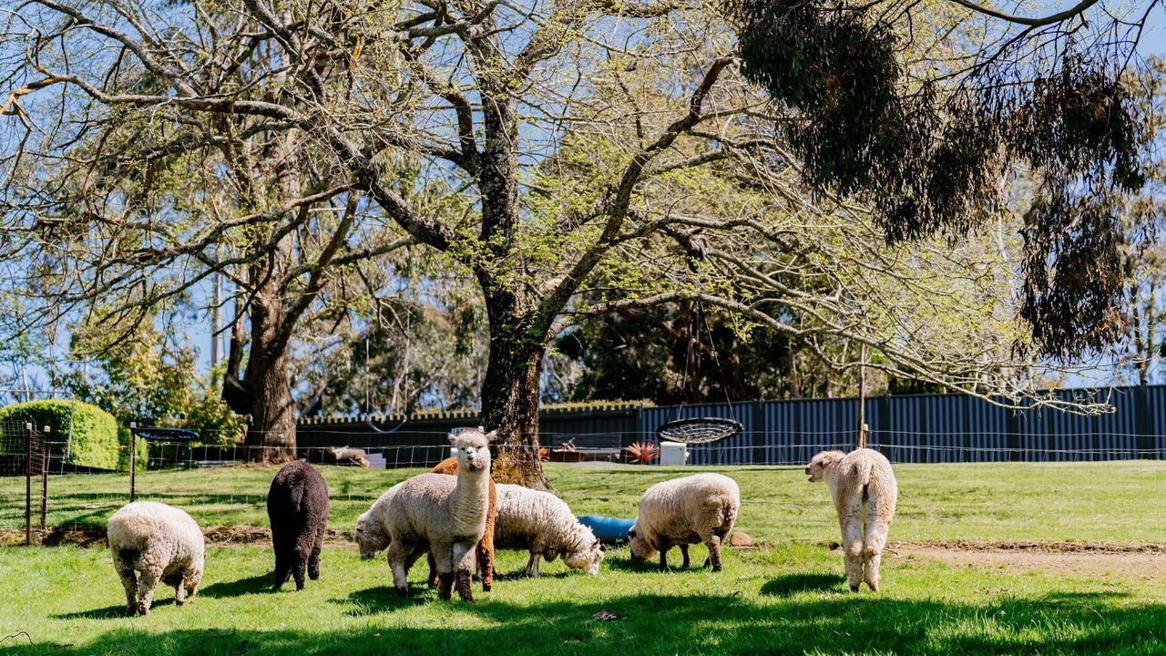 Photo of Outdoor in Spring Hill
