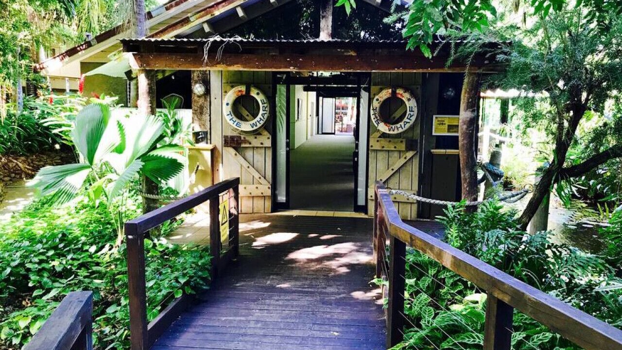 Photo of Others in Port Douglas