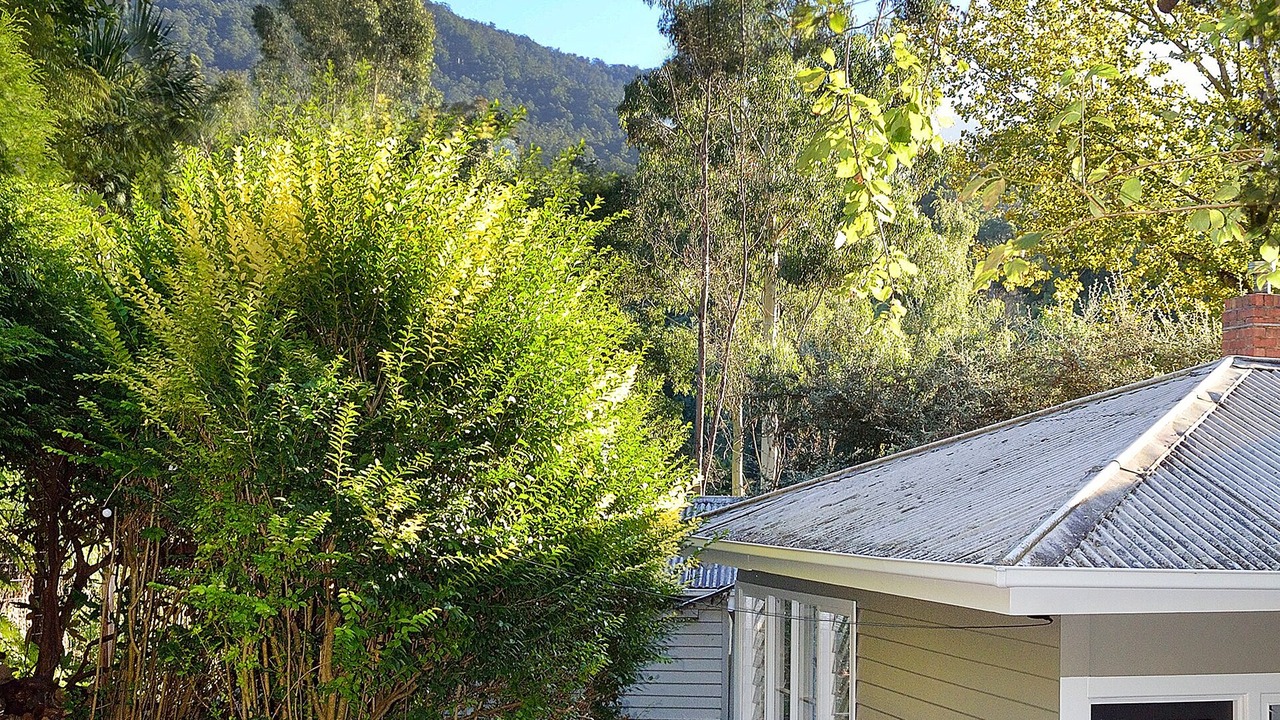 Photo of Outdoor in Warburton