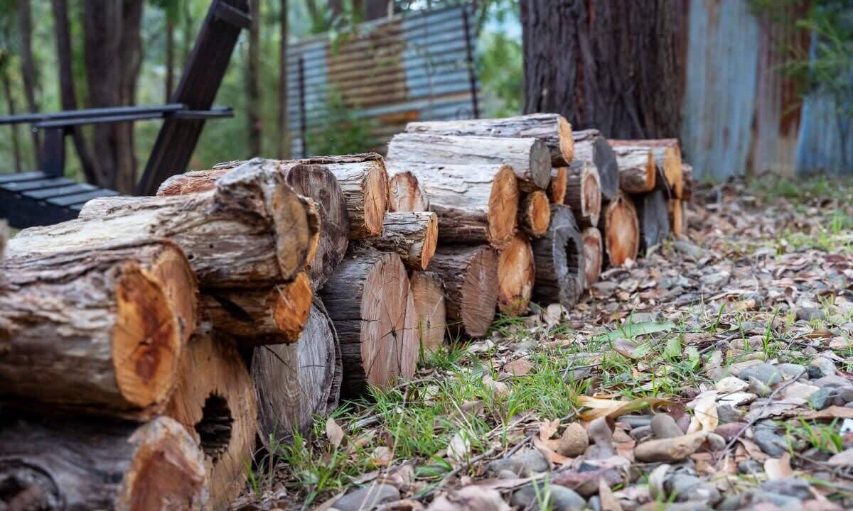 Photo of Outdoor in Wollombi