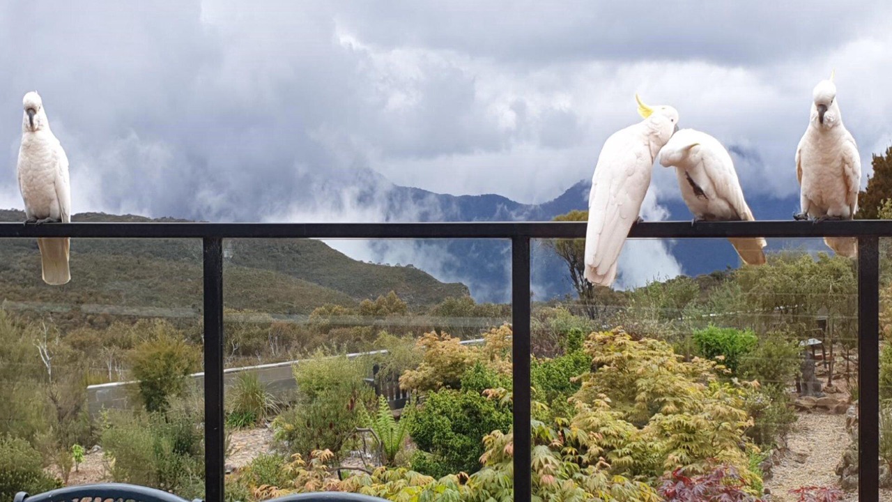 Photo of Outdoor in Wentworth Falls
