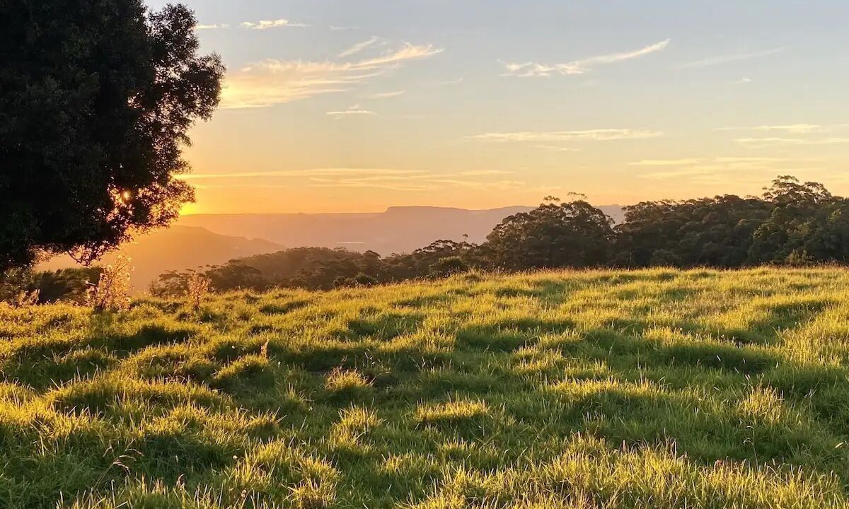 Photo of Outdoor in Bellawongarah