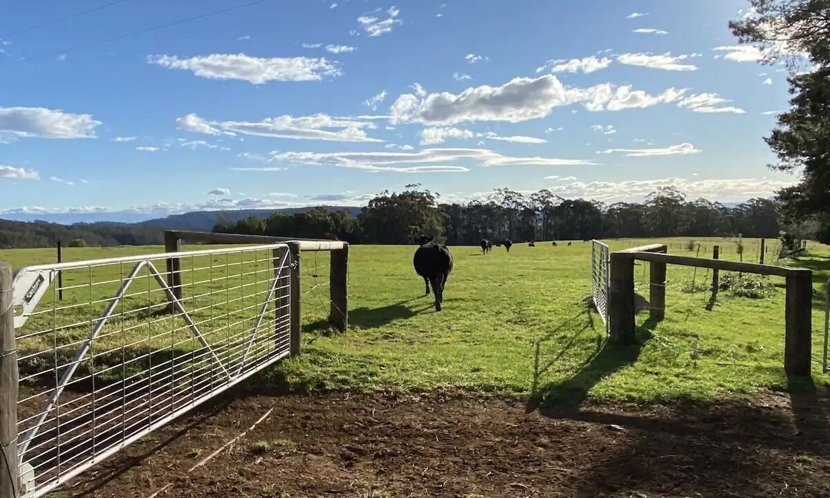 Photo of Outdoor in Bellawongarah