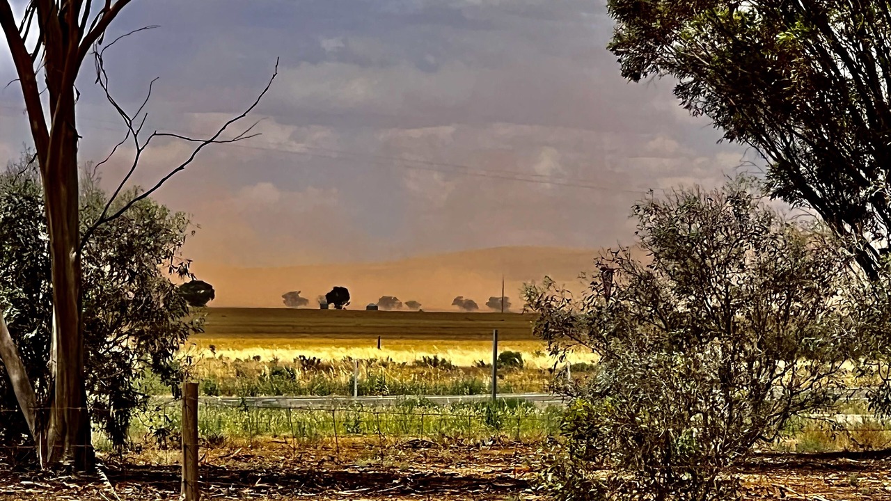 Photo of Outdoor in Willowie