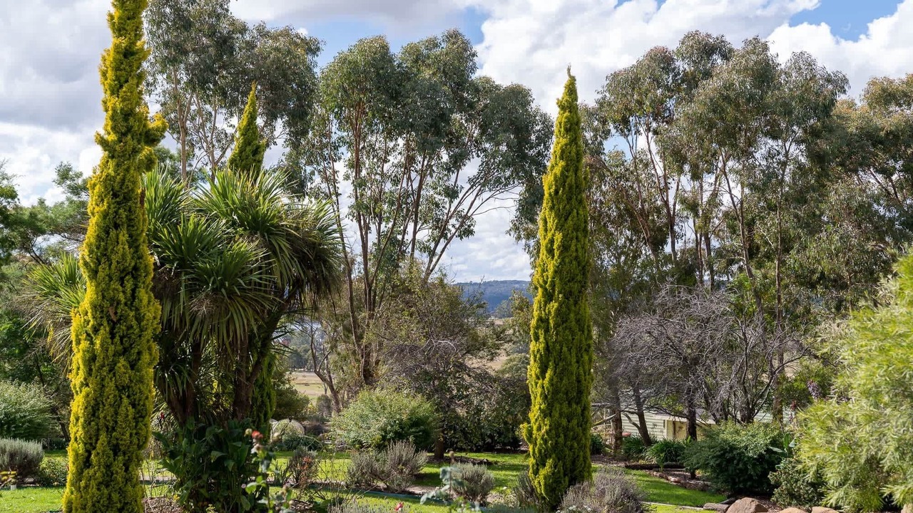 Photo of Outdoor in Orange East