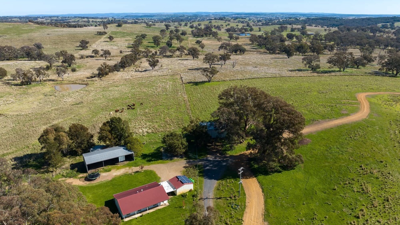 Photo of Outdoor in Borenore
