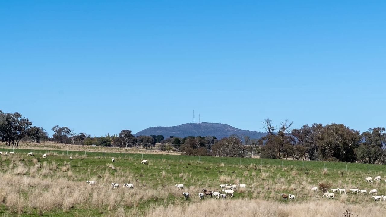 Photo of Others in Borenore