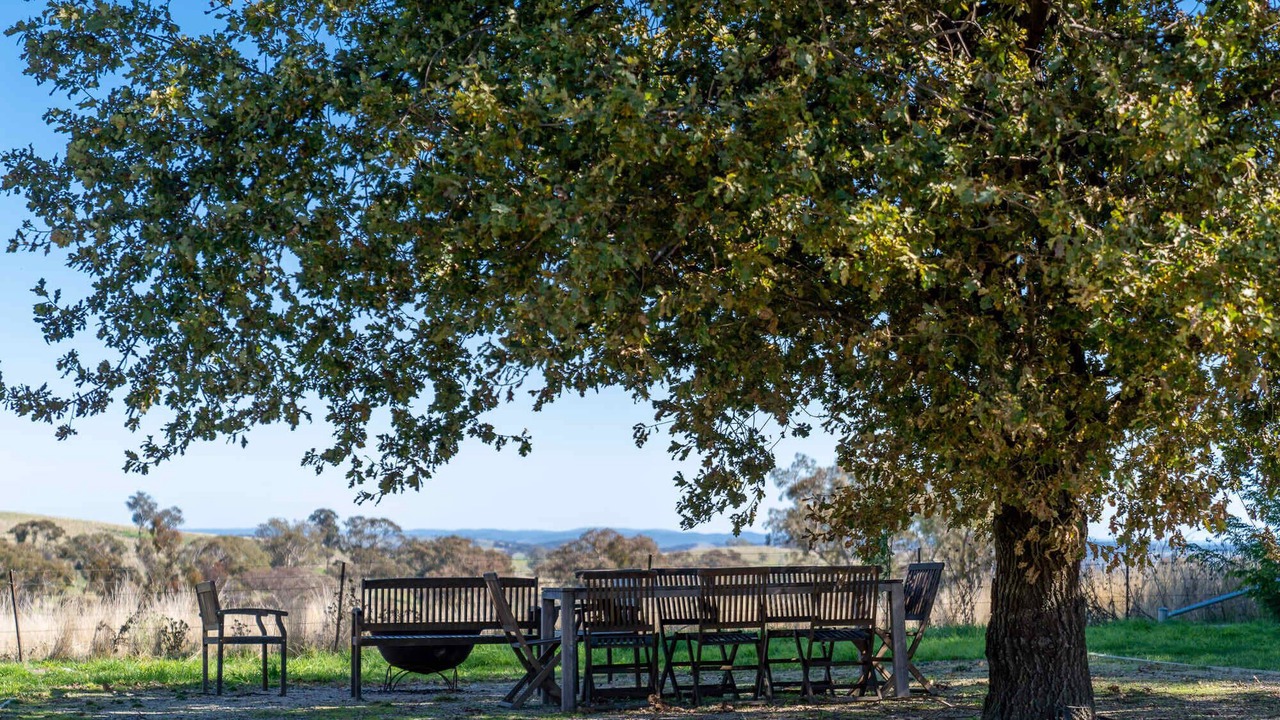 Photo of Outdoor in Borenore