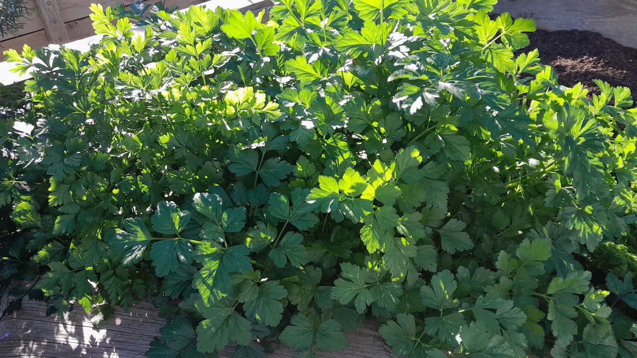 Photo of Outdoor in Baskerville