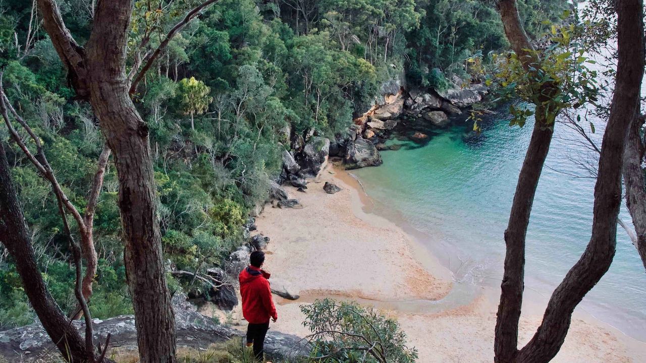 Photo of Others in Beecroft