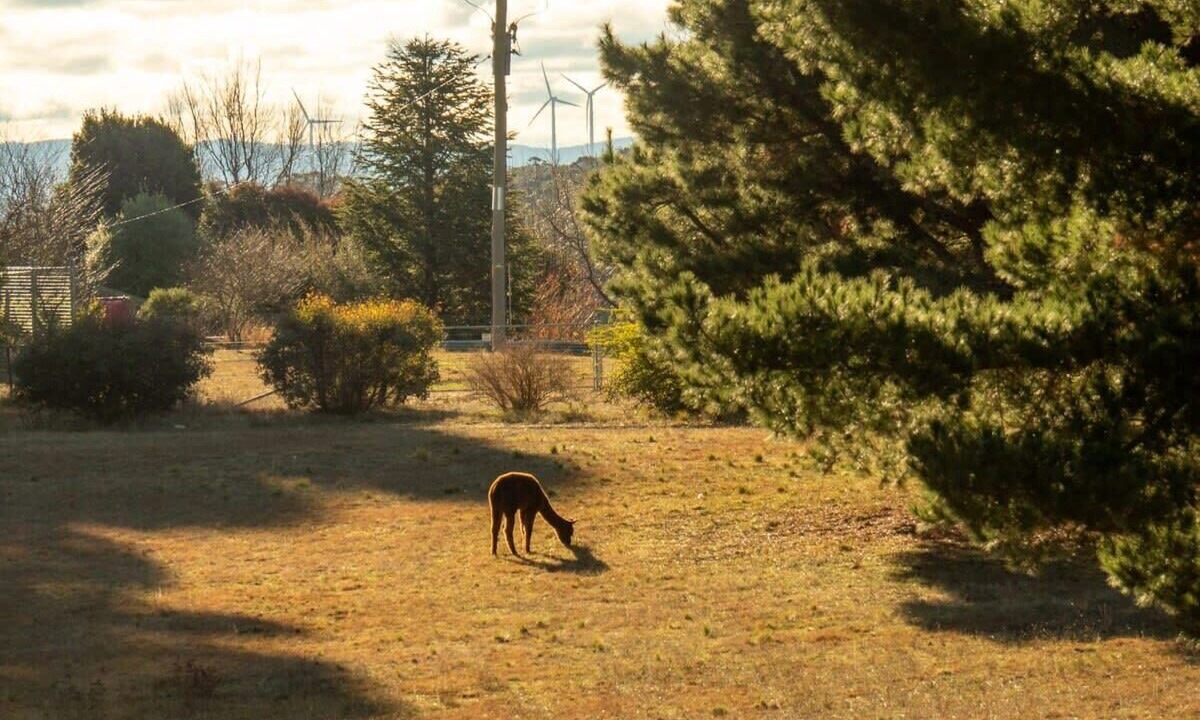 Photo of Others in Bungendore
