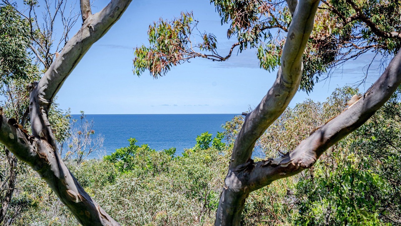 Photo of Outdoor in Hardys Bay