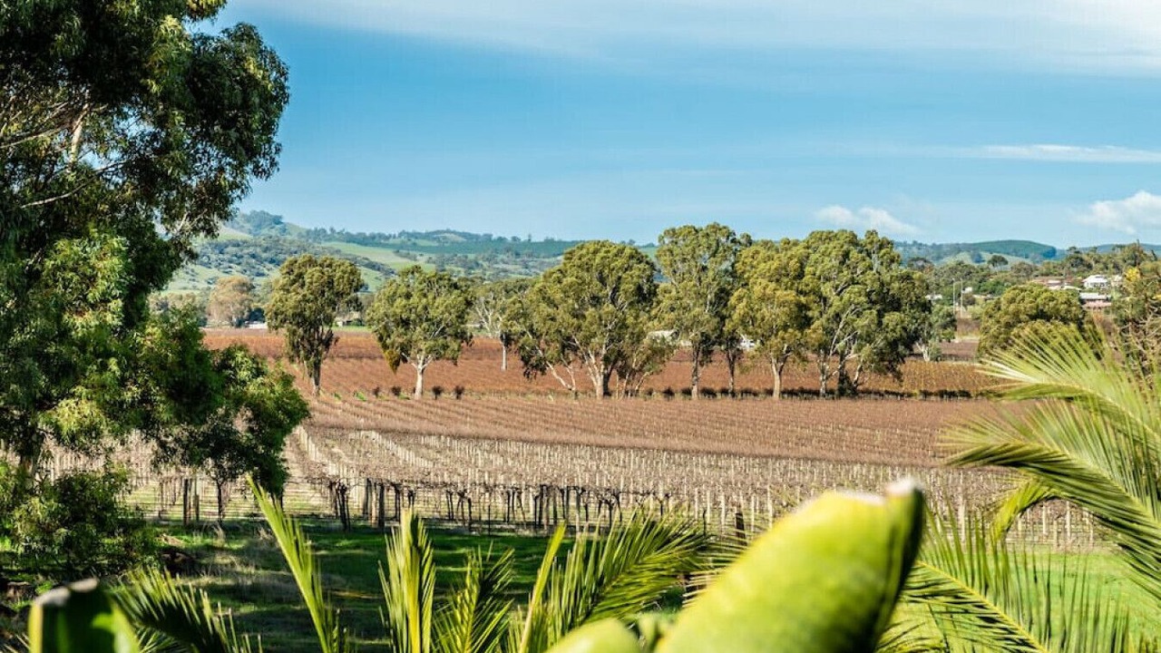 Photo of Others in Lyndoch