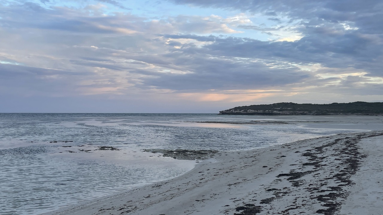 Photo of Others in Marion Bay