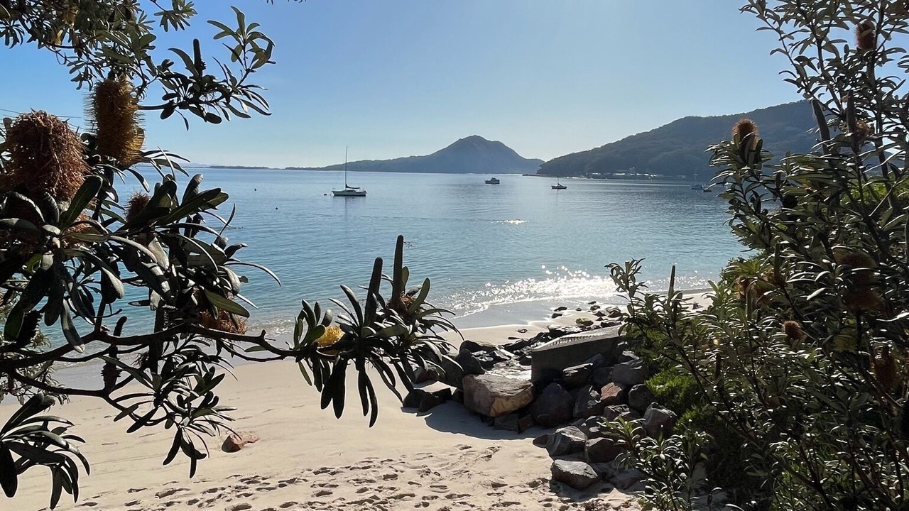 Photo of Others in Shoal Bay