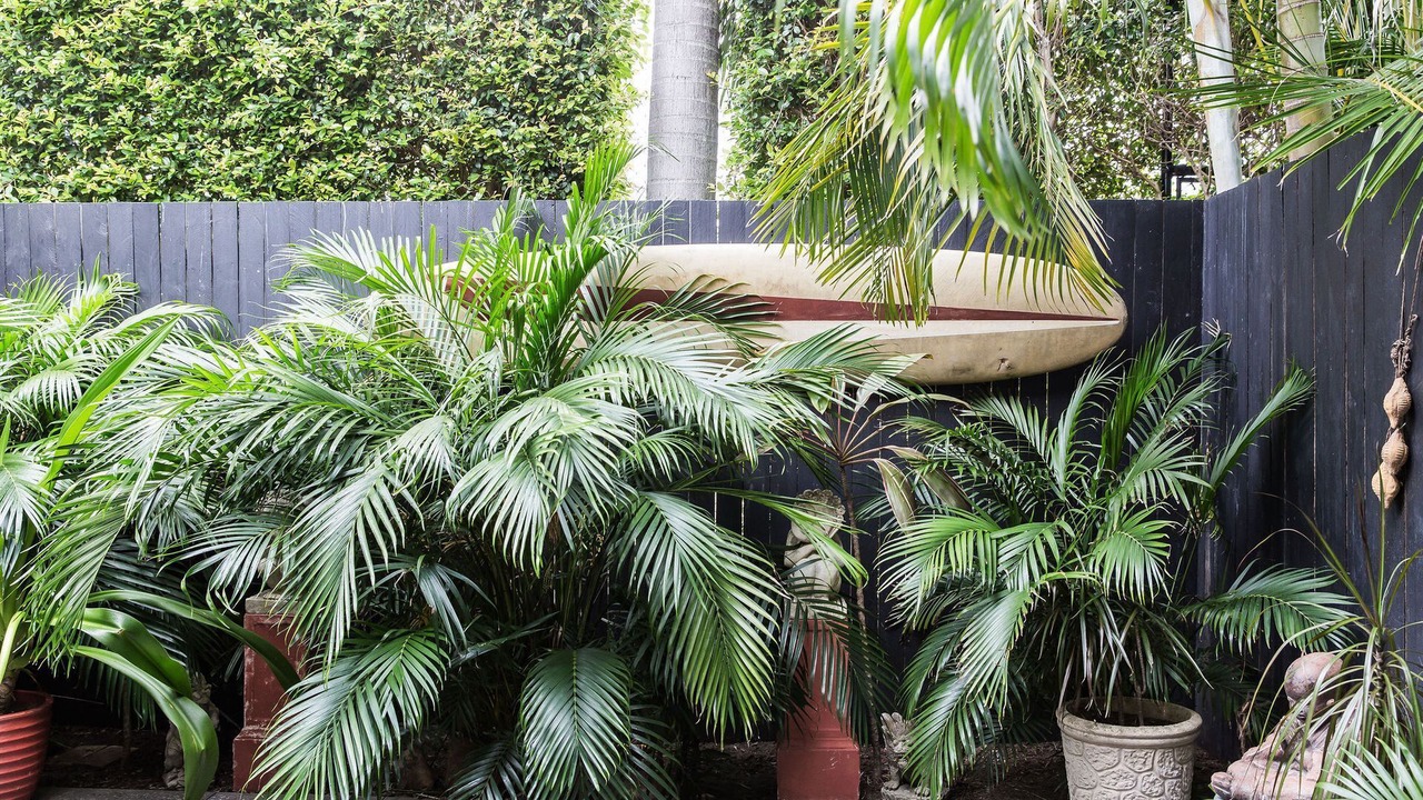 Photo of Outdoor in Noosa Heads