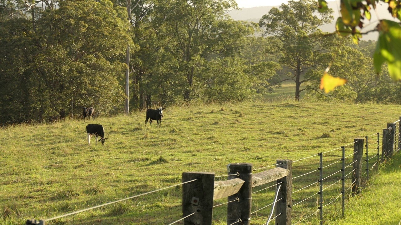 Photo of Others in Minimbah