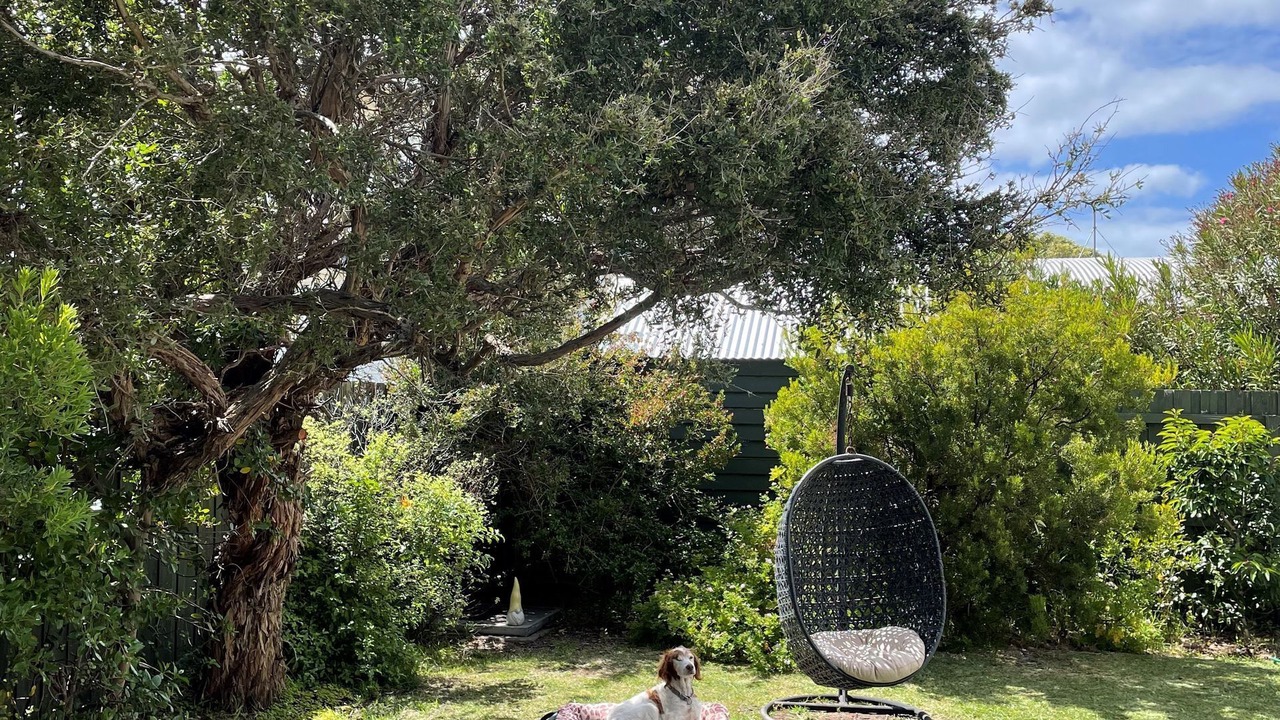 Photo of Outdoor in Point Lonsdale