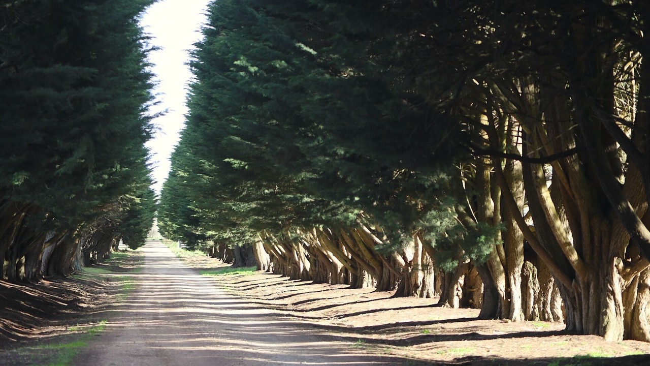 Photo of Outdoor in Romsey