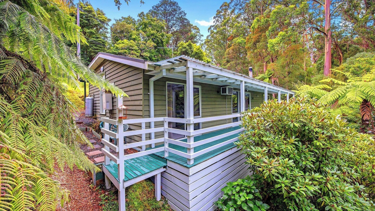 Photo of Outdoor in Warburton