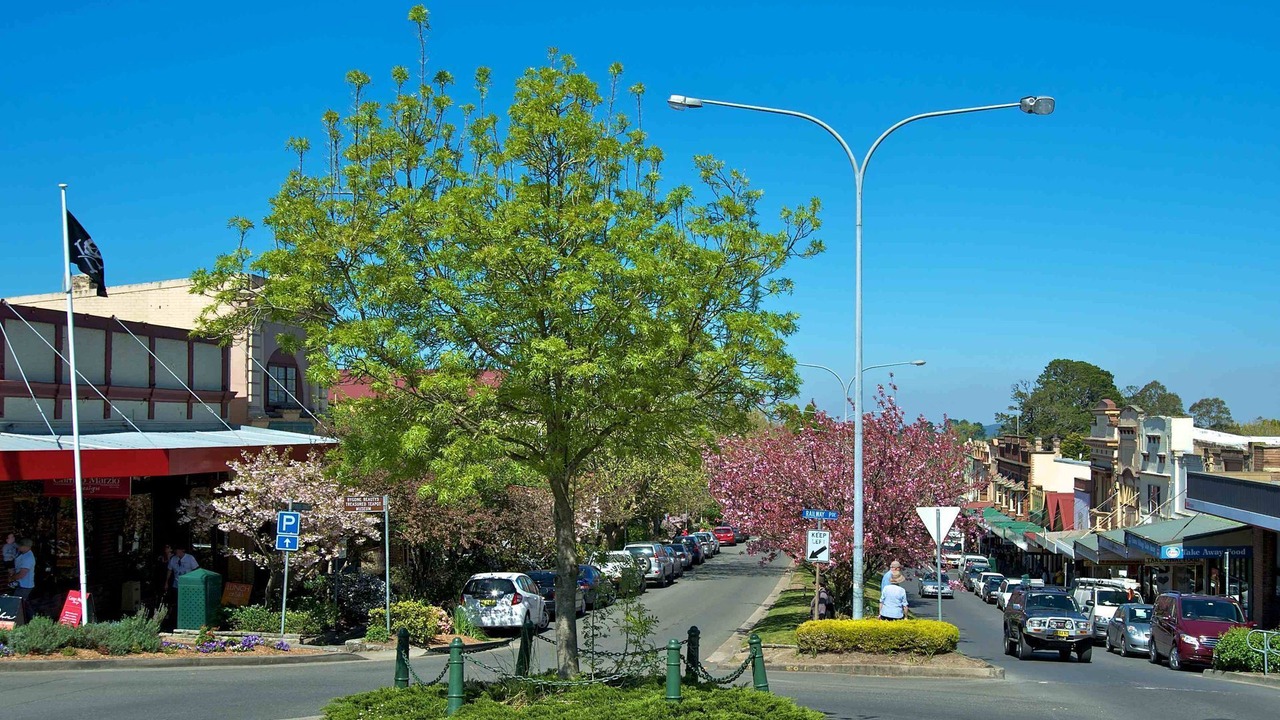 Photo of Outdoor in Wentworth Falls