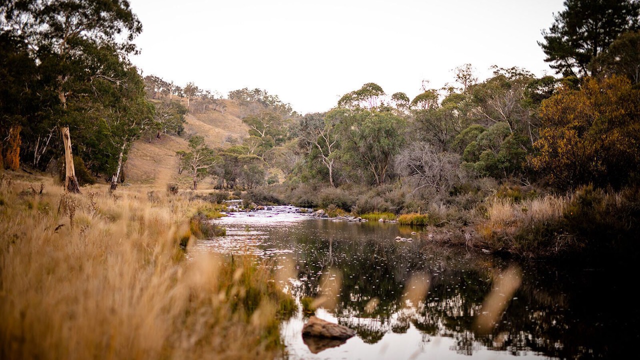 Photo of Outdoor in Adaminaby