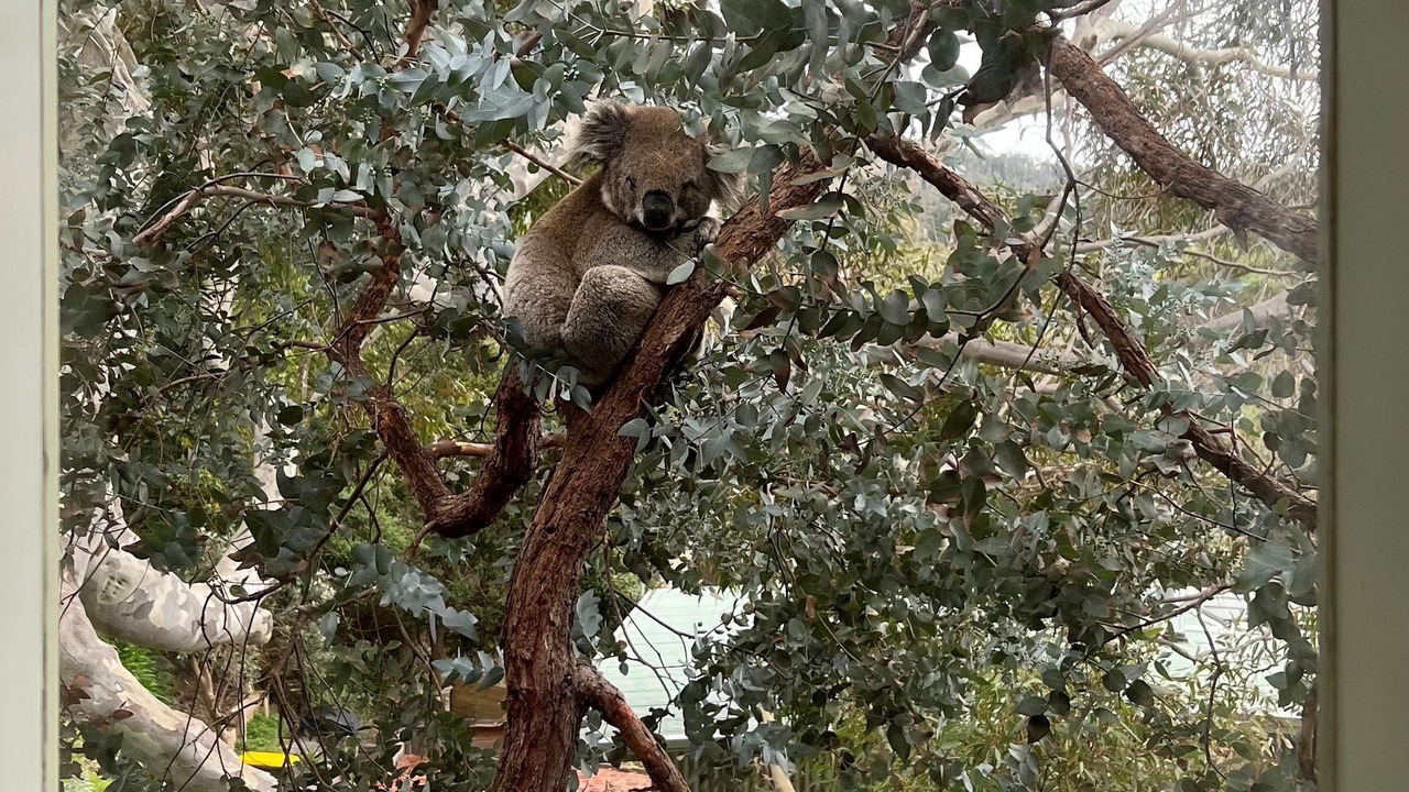 Photo of Outdoor in Wye River