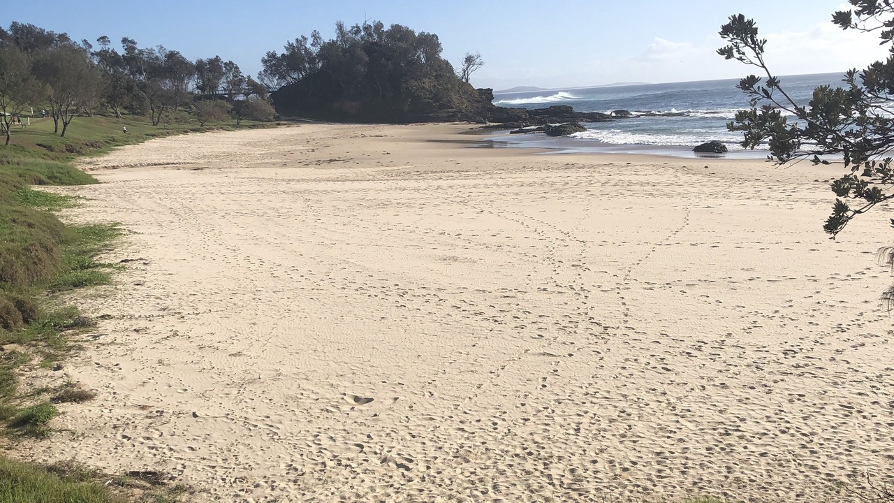 Photo of Others in Port Macquarie
