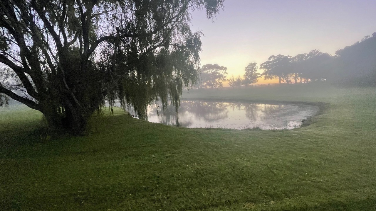 Photo of Outdoor in Mitchells Island