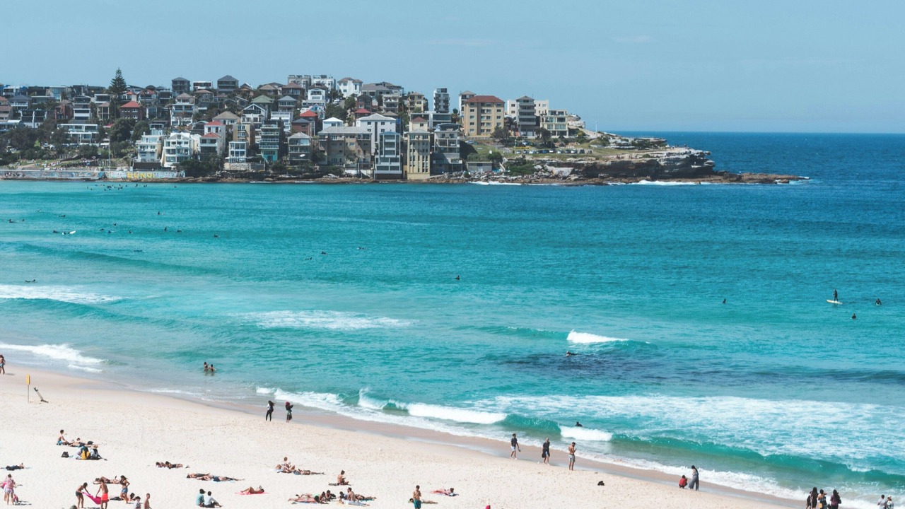 Photo of Others in Bondi