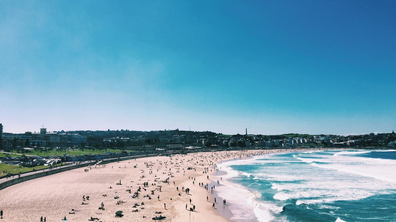 Photo of Others in Bondi