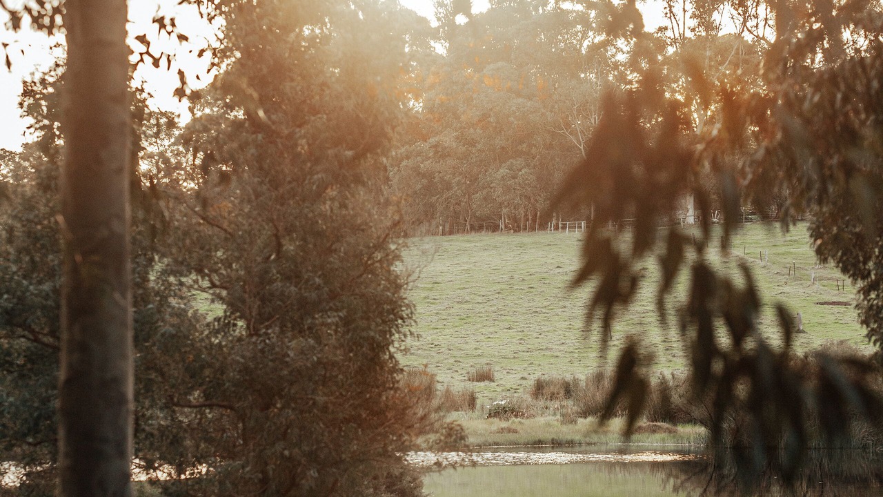 Photo of Outdoor in Scotsdale