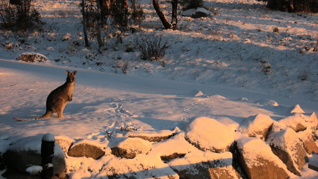 Photo of Others in Jindabyne