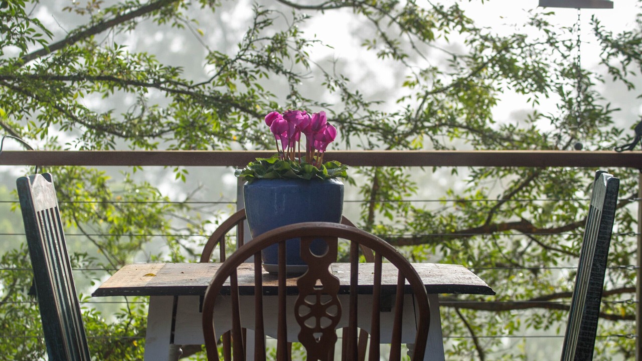 Photo of Outdoor in Waukivory