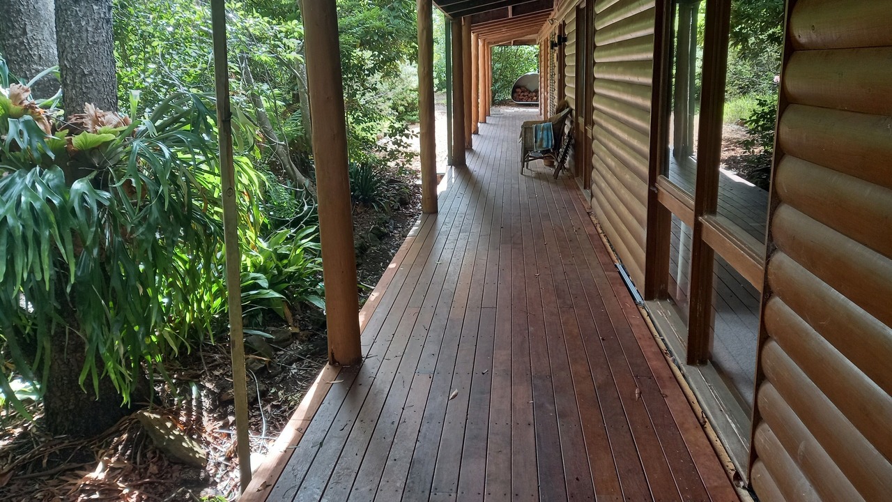 Photo of Others in Wentworth Falls