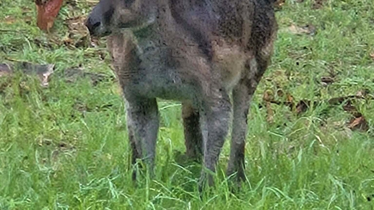Photo of Others in Denmark