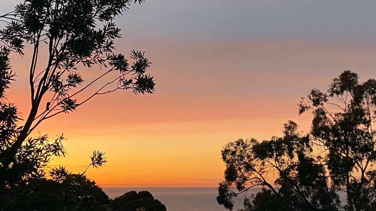 Photo of Others in Lorne